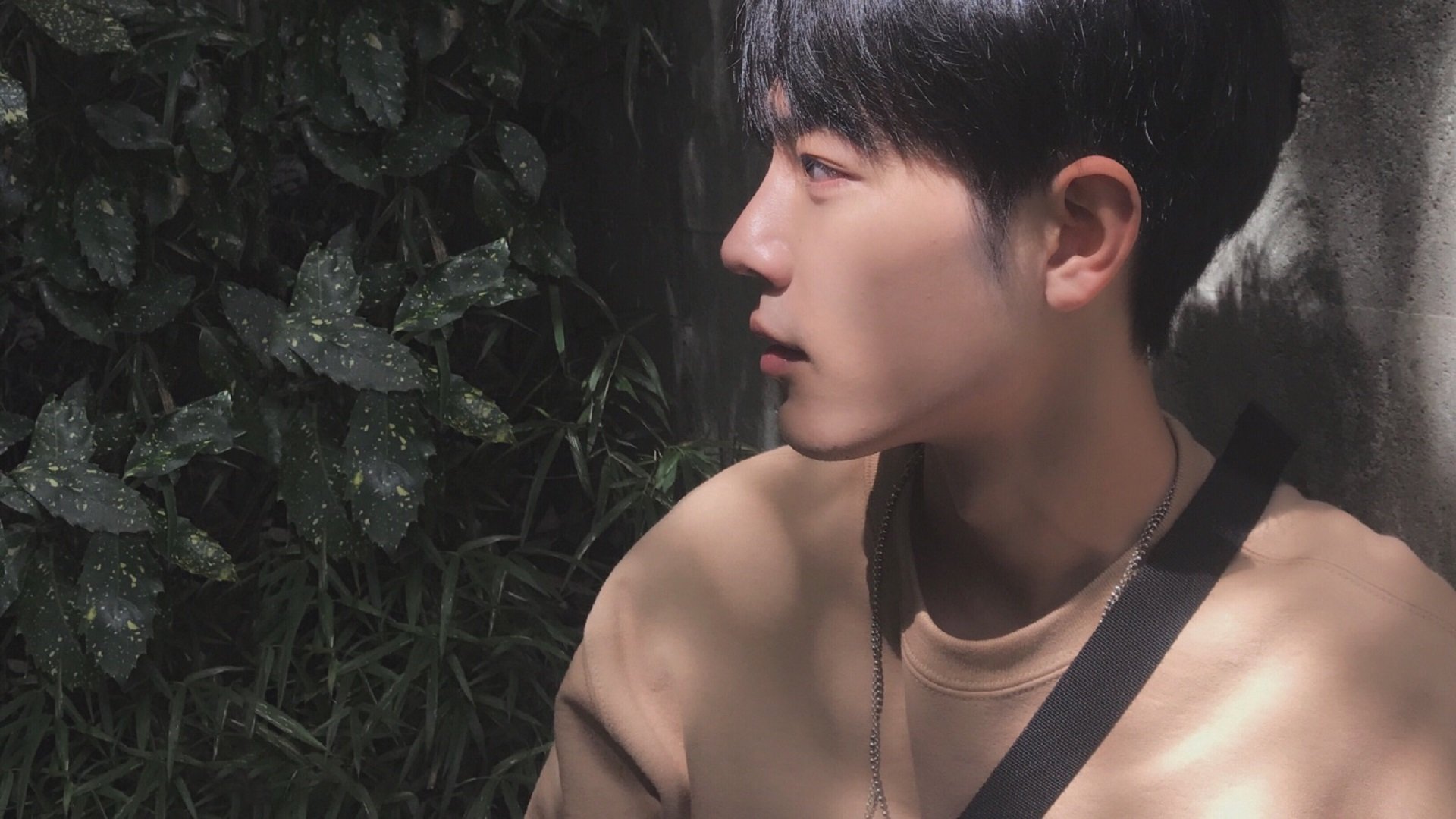 开云-DOTA2新手教学赛：大神带你入门，快速上手DOTA2，dota2零基础教学