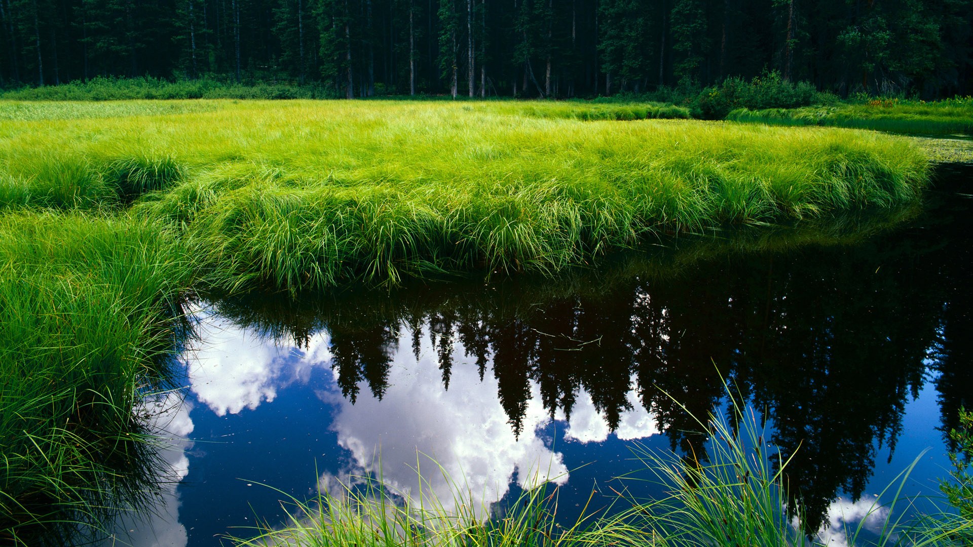 开云官网首页-_勇士开启三分狂潮，战绩稳步攀升_，勇士三分绝杀