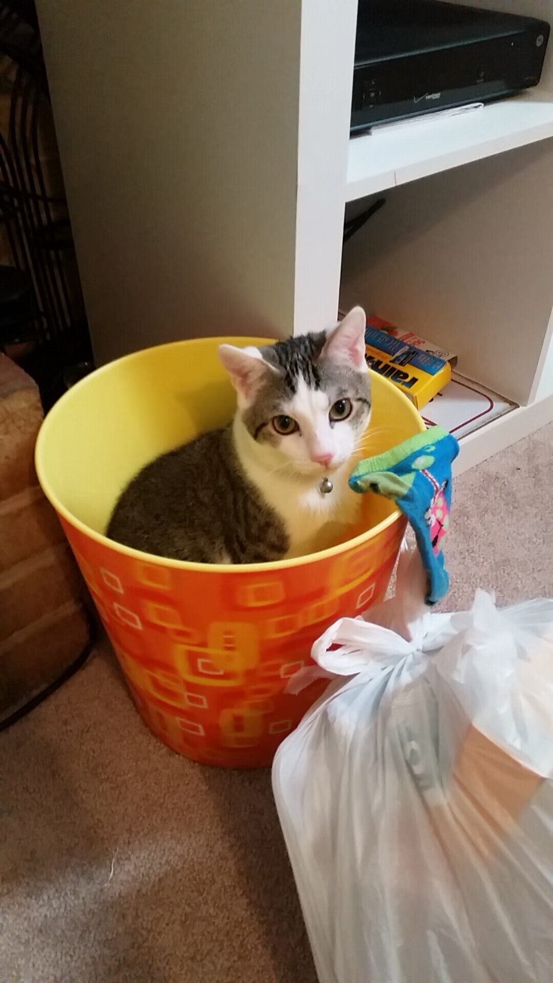 开云·体育官方网站入口-_绿能赛车：绿色动力引领未来运动_，绿能动力新能源科技有限公司