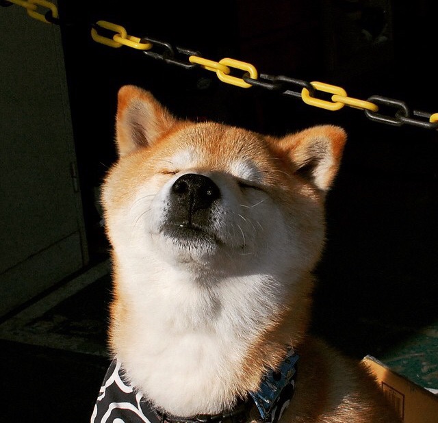 开云官方网页登录-“中国足球职业俱乐部签订多项青训合作协议”，中国足球青训基地有哪些