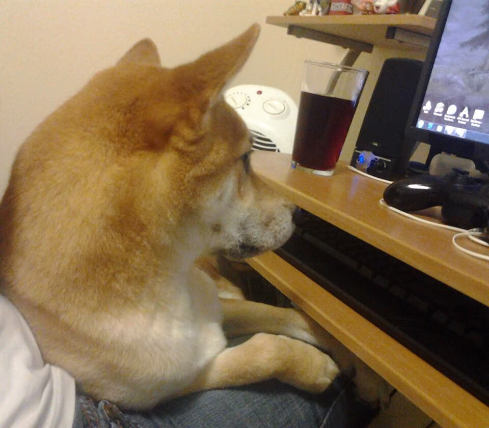 开云官网APP下载-_魔术队打出精彩配合，力克强敌_，魔术队战术