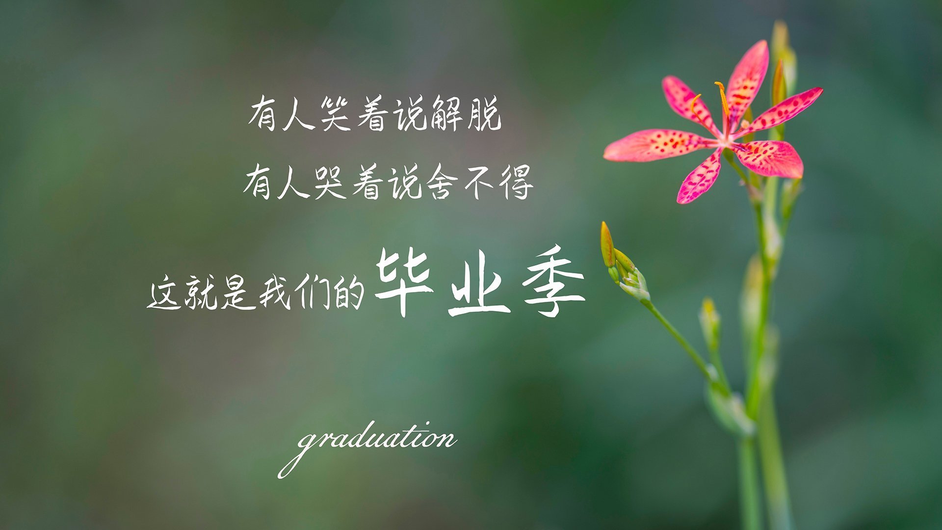 开云-“最炫扣篮：年度超级扣篮集合”，超级扣篮王