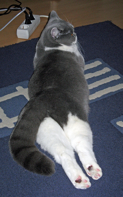 开云网页版-“英超精彩不断，逆转场面令人震撼”，英超精彩视频