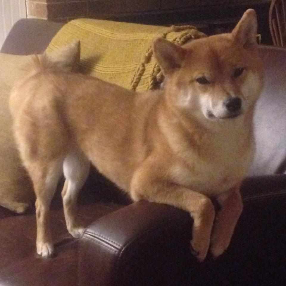 开云网站-【战术大比拼】马克·塞尔比的防守艺术究竟为何如此坚不可摧？