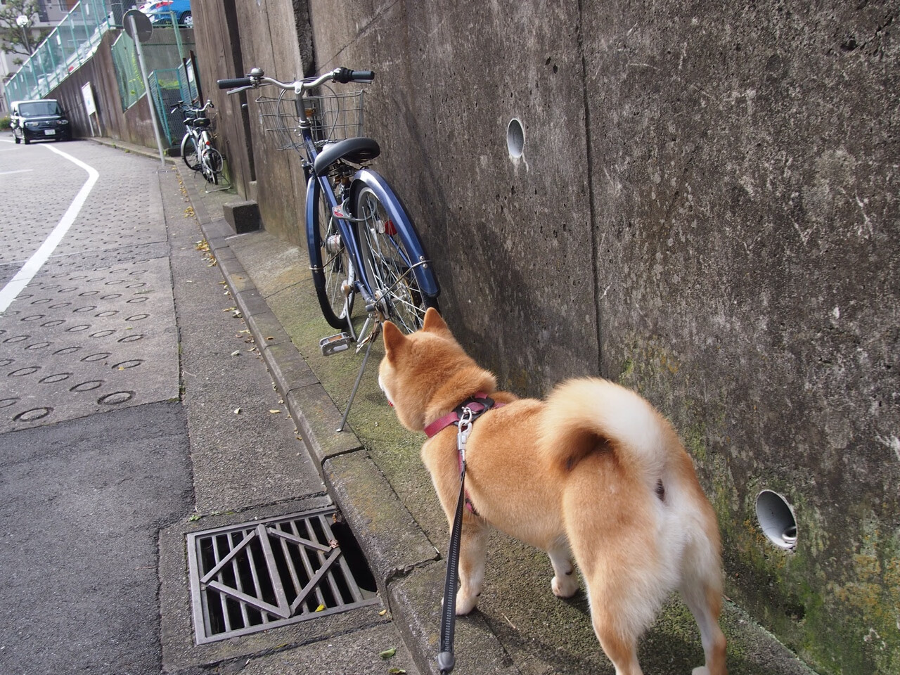 电竞场馆建设提速,推动线下赛事发展,电竞比赛场馆