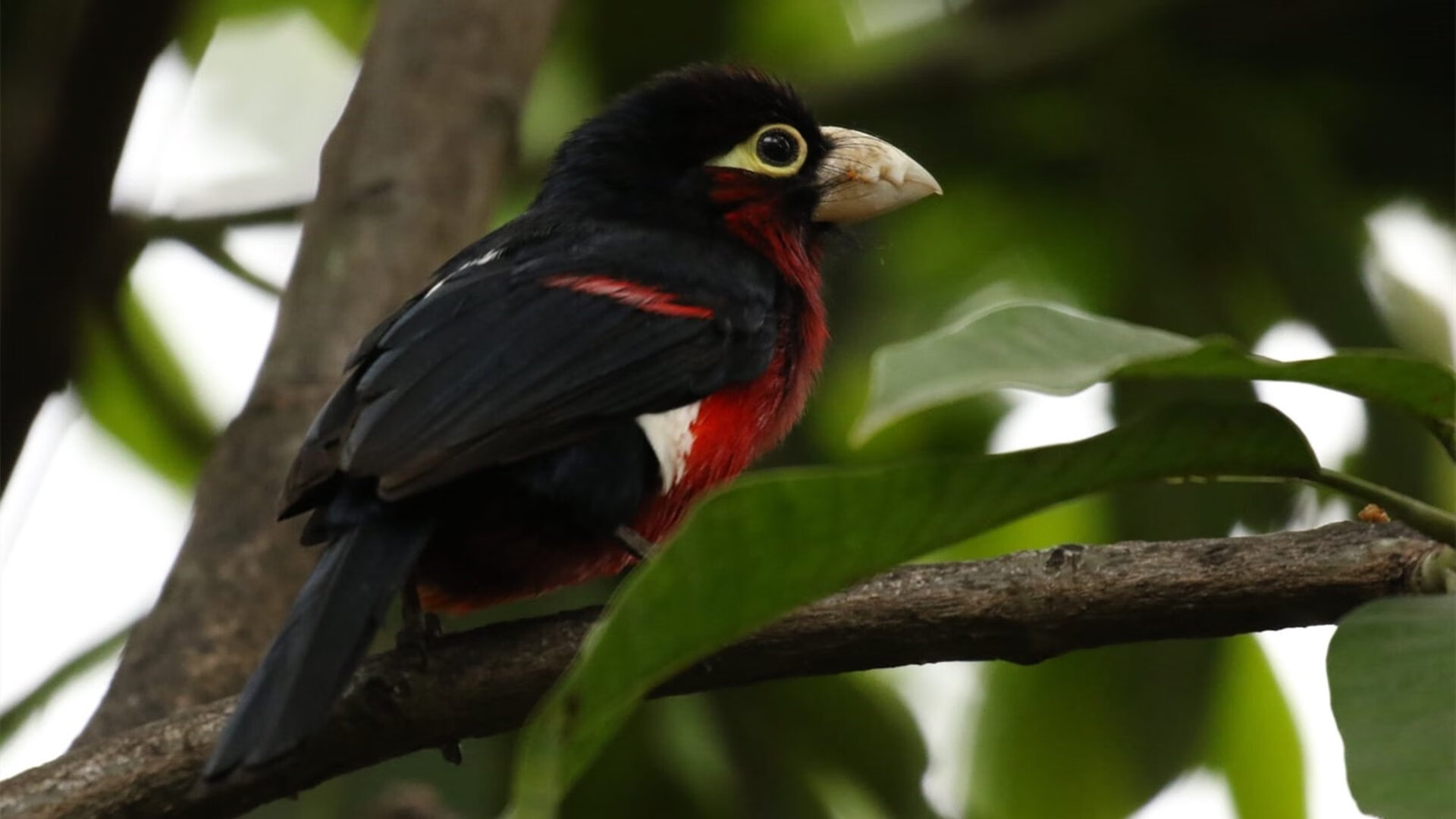 开云平台-西班牙骑手马尔科·佩雷斯在国际马术大奖赛中获得冠军，成为赛事历史上最年轻的冠军得主。