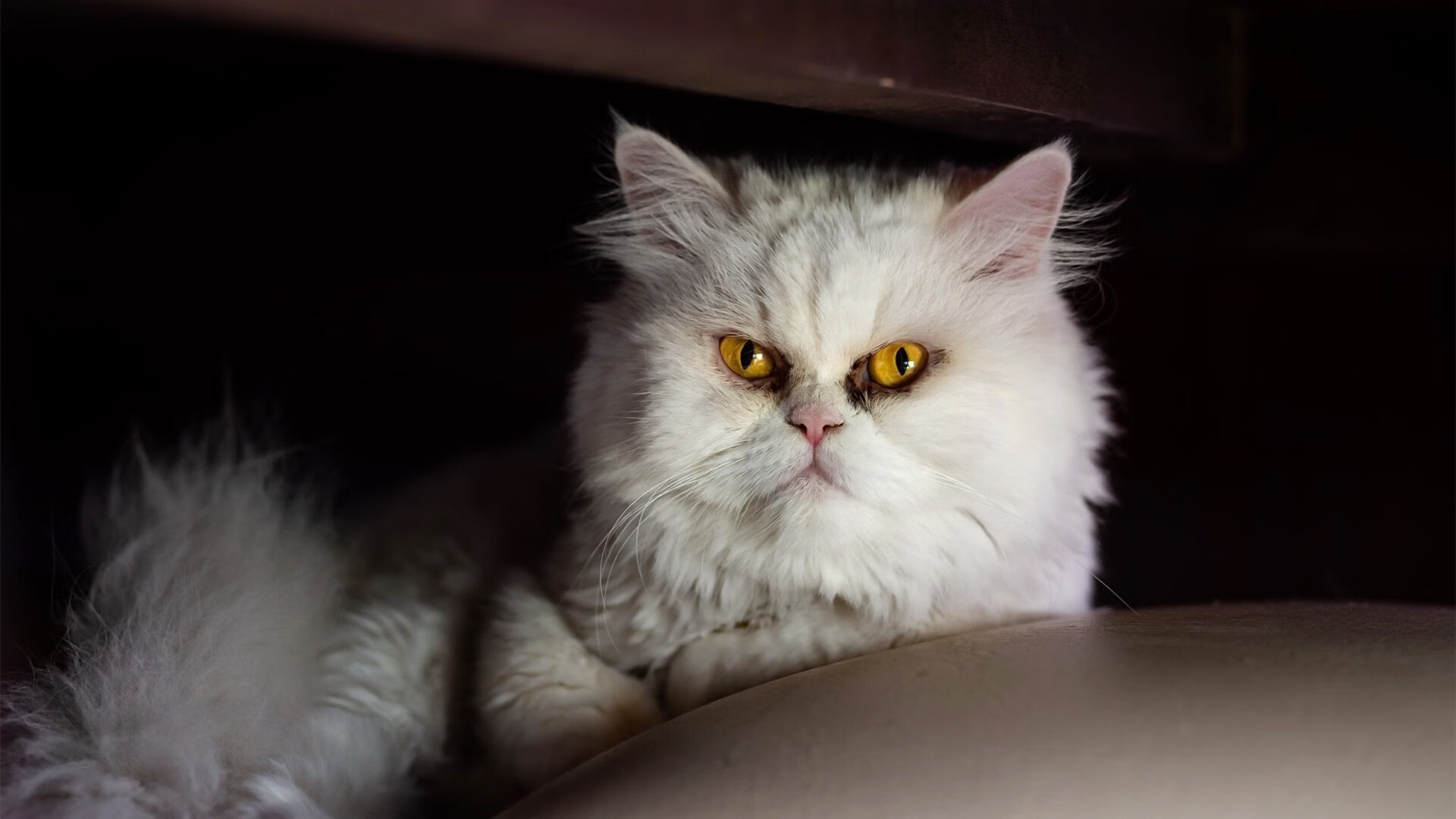 开云官网-兰斯客场失利，三连败将风险加大，兰斯 f1