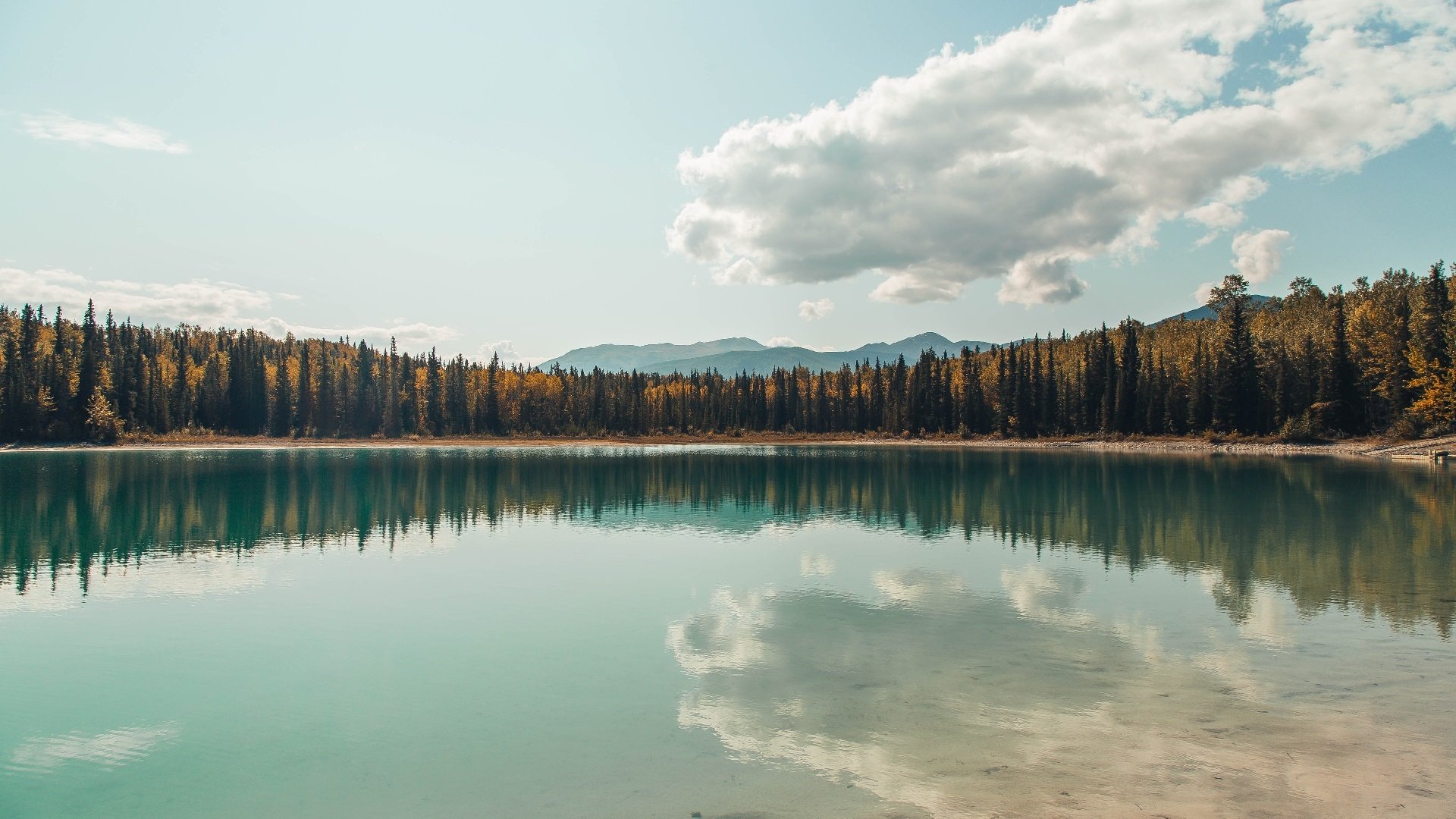 开云官网APP下载-巴黎圣日耳曼不敌切尔西，惜败欧冠关，巴黎圣日耳曼vs