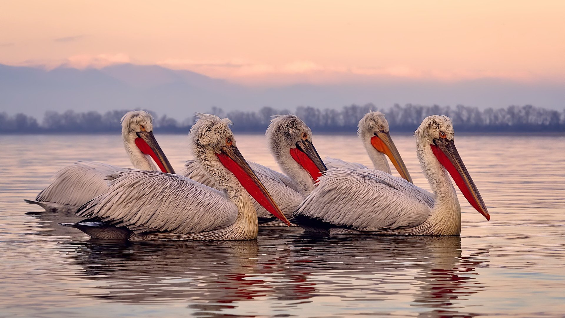 开云中国大陆-篮球运动员心理辅导服务体系建设，篮球运动中需要的心理技能有哪些