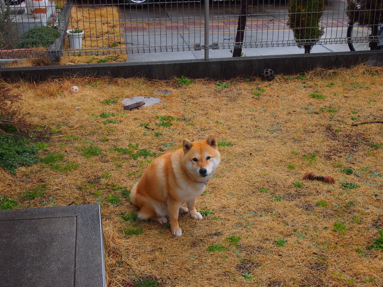 天府新区:湖滨赛场点燃全民运动热情,淮南未来高铁线路规划