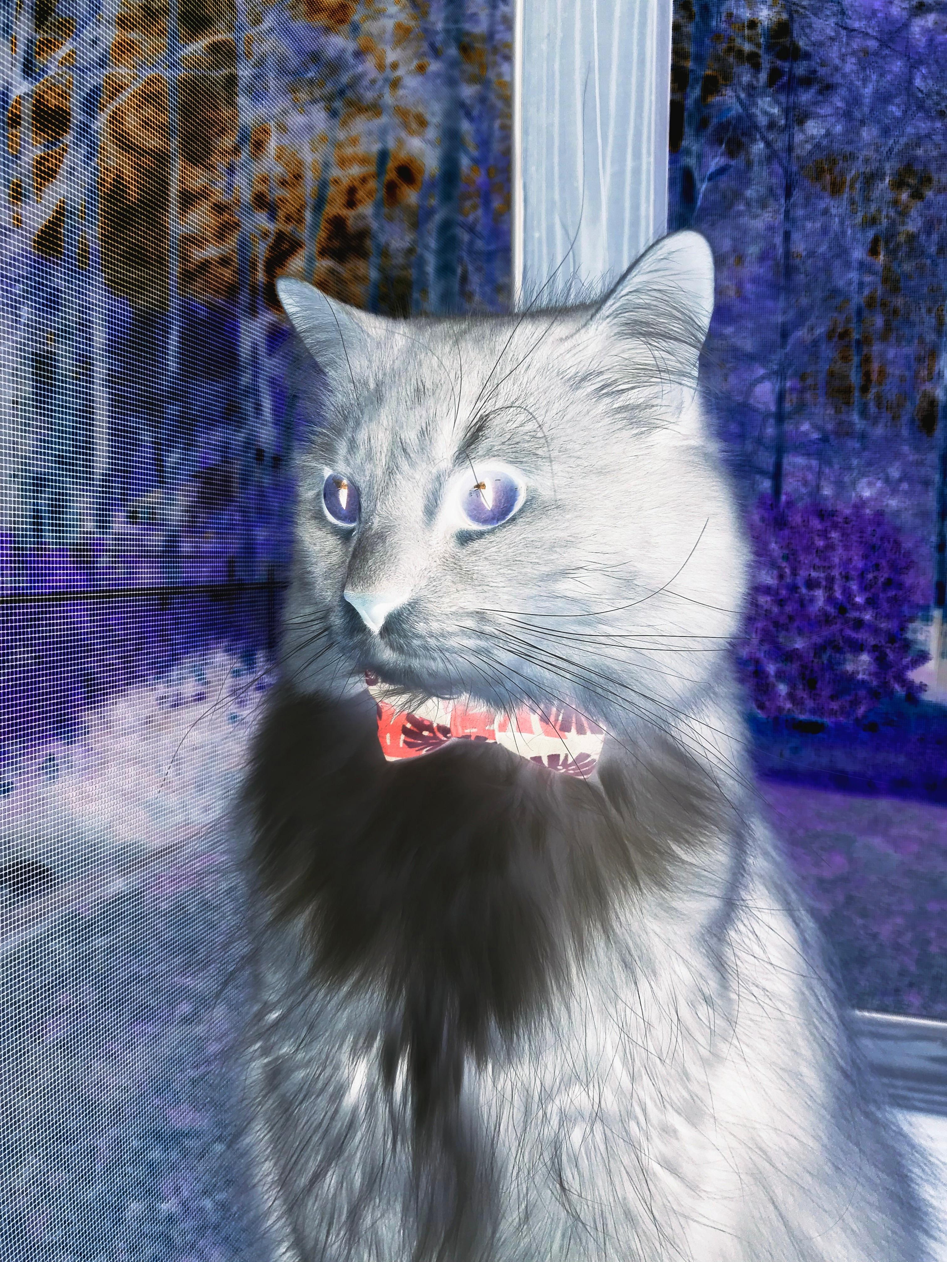 开云·Kaiyun网页版-德甲比赛火力全开：攻势如潮的对决，德甲比赛集锦