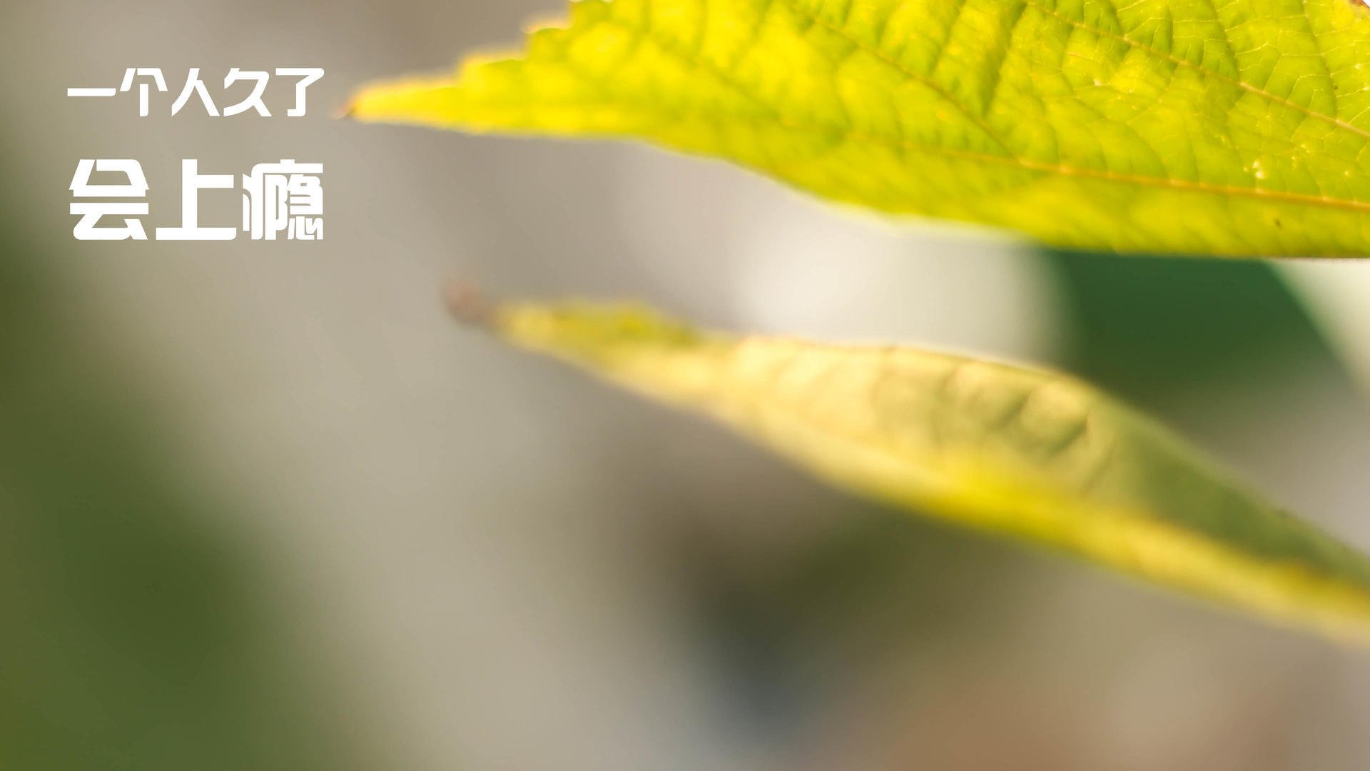 开云网页版-新闻中心报道成年运动员体能测试标准发布，成人体能测试合格标准