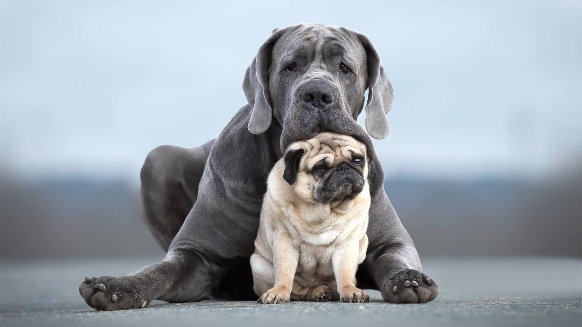 开云kaiyun-西甲攻防豪门：精彩瞬间不断崛起！，西甲豪门球队排名